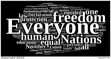 Universal declaration of human rights case study